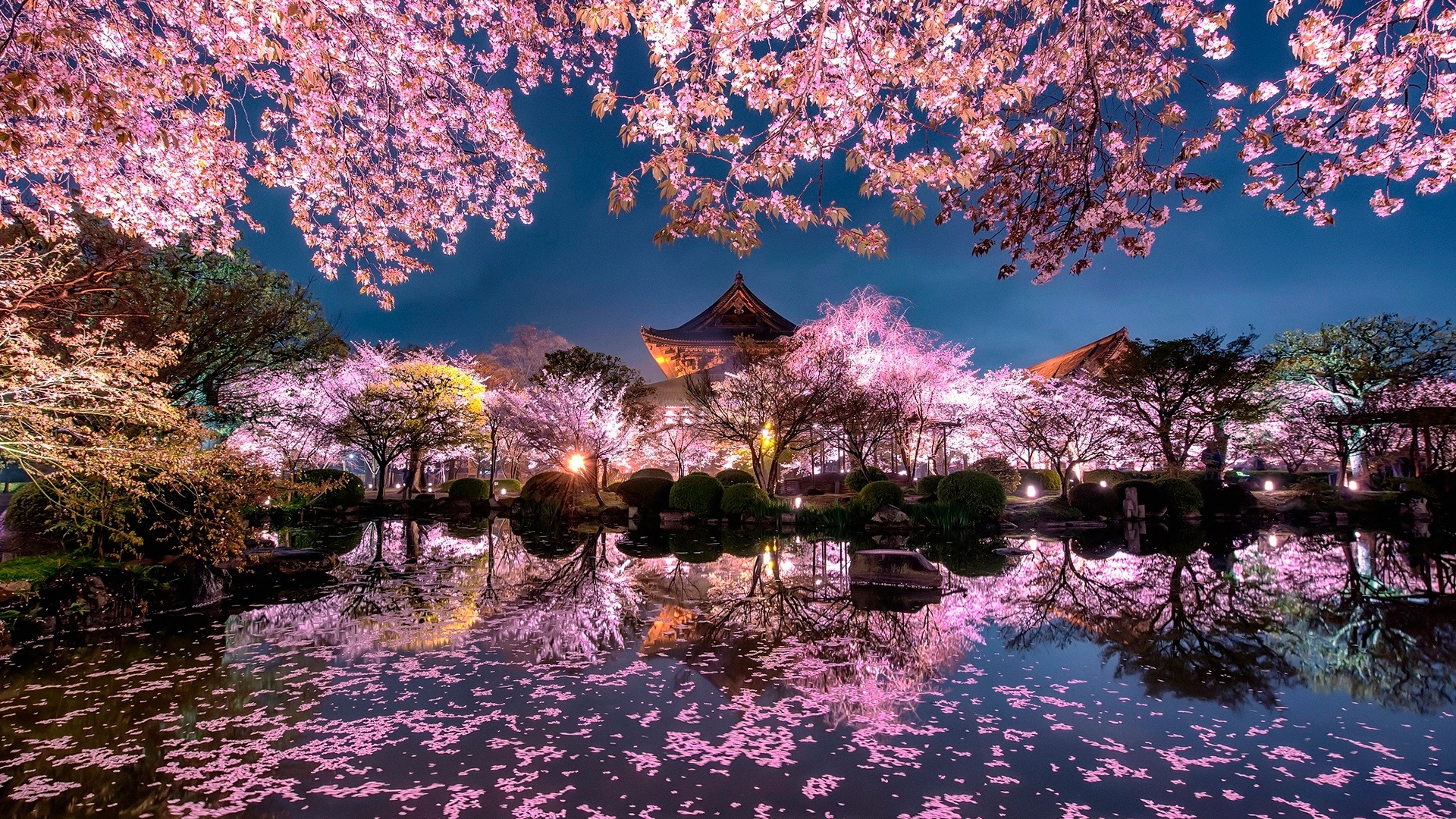Best Time to Visit Japan: Month by Month Luxury Guide 2026