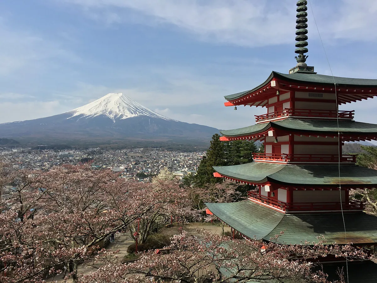 Cherry blossom in front of Mount Fuji and a five storey pagoda at first light