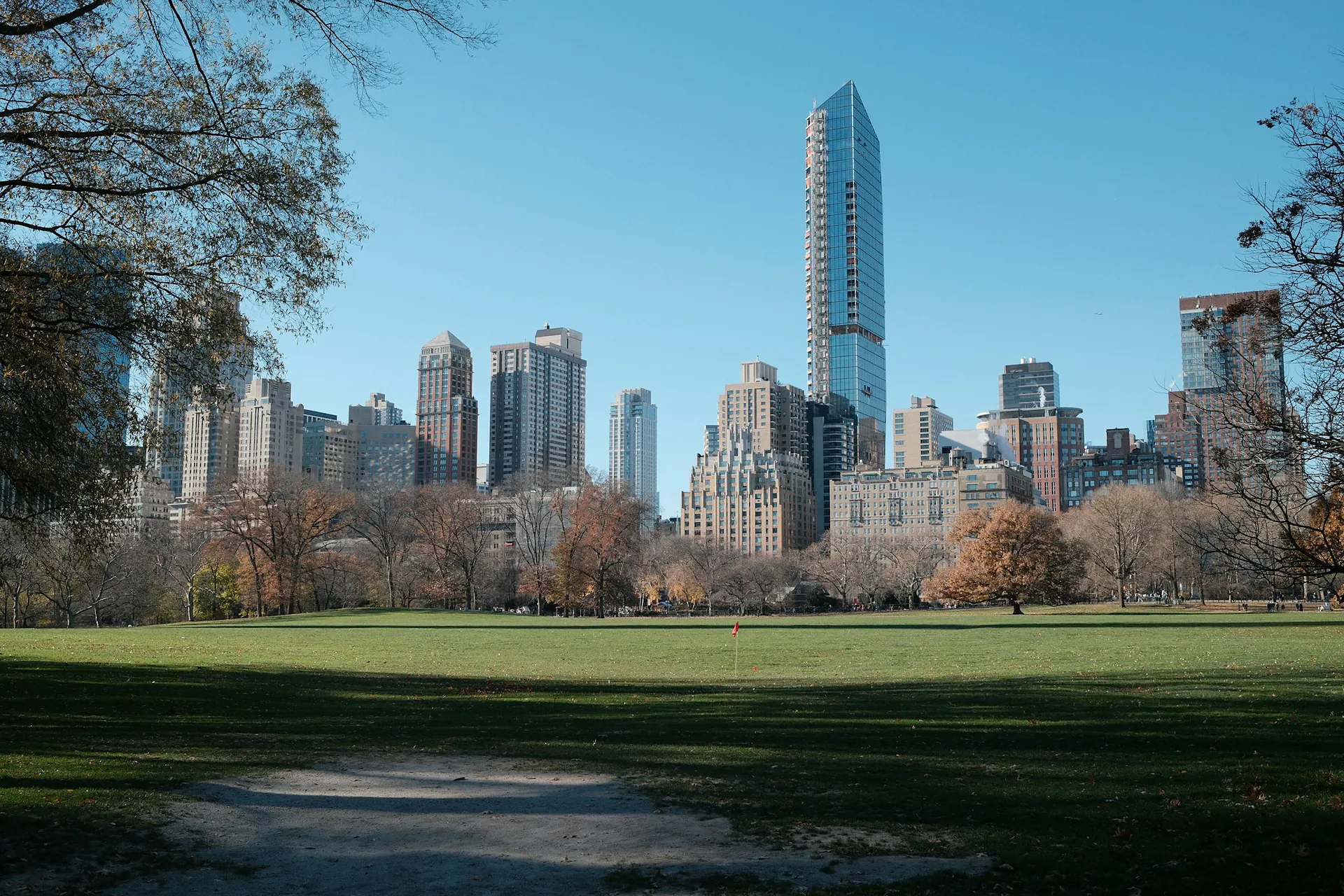 Central Park treeline with the Midtown Manhattan skyline rising behind it at golden hour