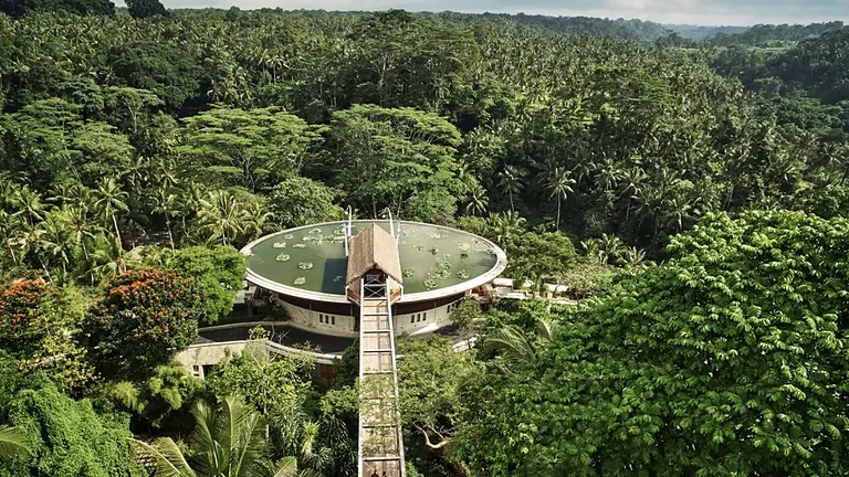 Four Seasons Bali at Sayan vs Bvlgari Resort Bali: The 2026 Verdict
