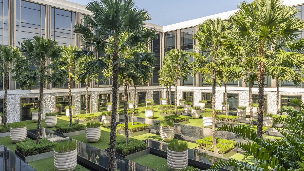 A courtyard of tall fan palms and clipped lawns between low glass and stone hotel wings