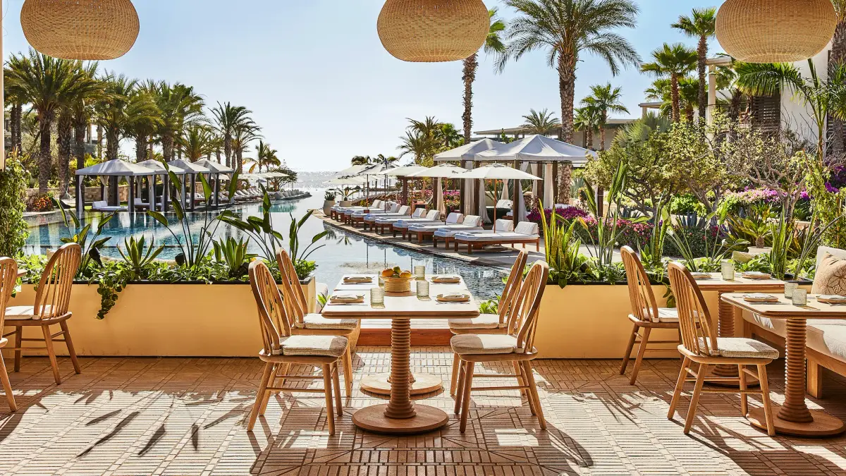 A shaded dining terrace of pale timber tables and chairs overlooking a pool and palms