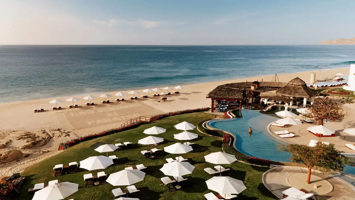 Rows of white parasols on a lawn between a pool and a long grey sand beach