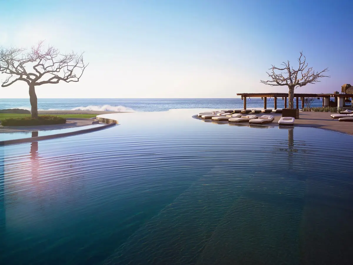 An infinity pool running out towards the sea past two bare sculptural trees