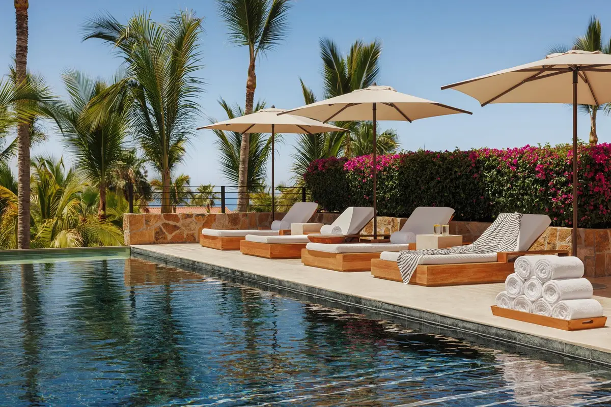 A long pool edged with loungers, parasols and bougainvillea under tall palms
