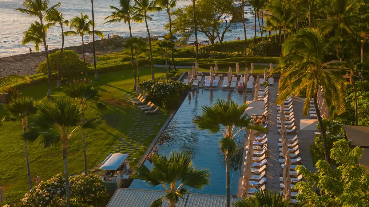 A long pool edged with loungers and palms under a bright sky