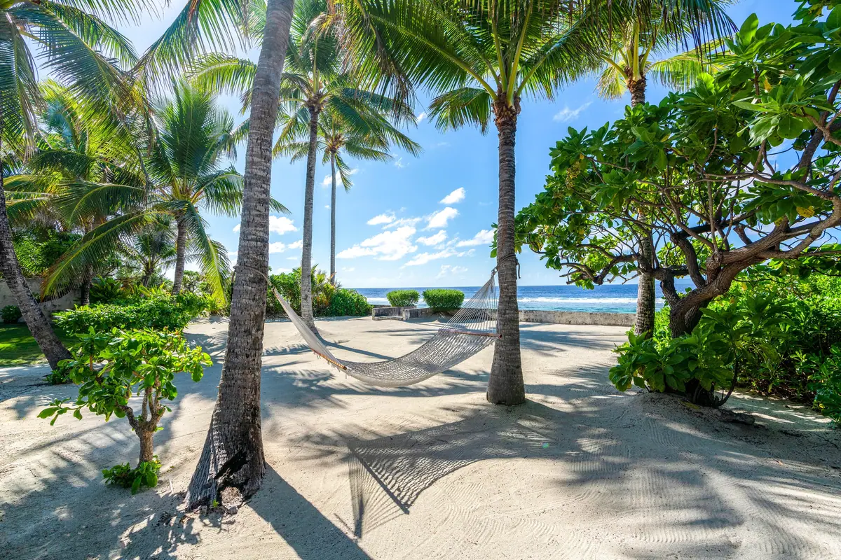 A white beach with palms leaning over it and a flat turquoise lagoon beyond
