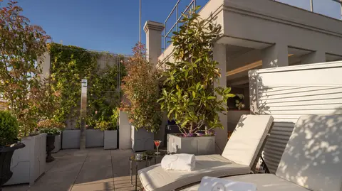 Sun loungers and planting on the roof terrace at Heritage Madrid