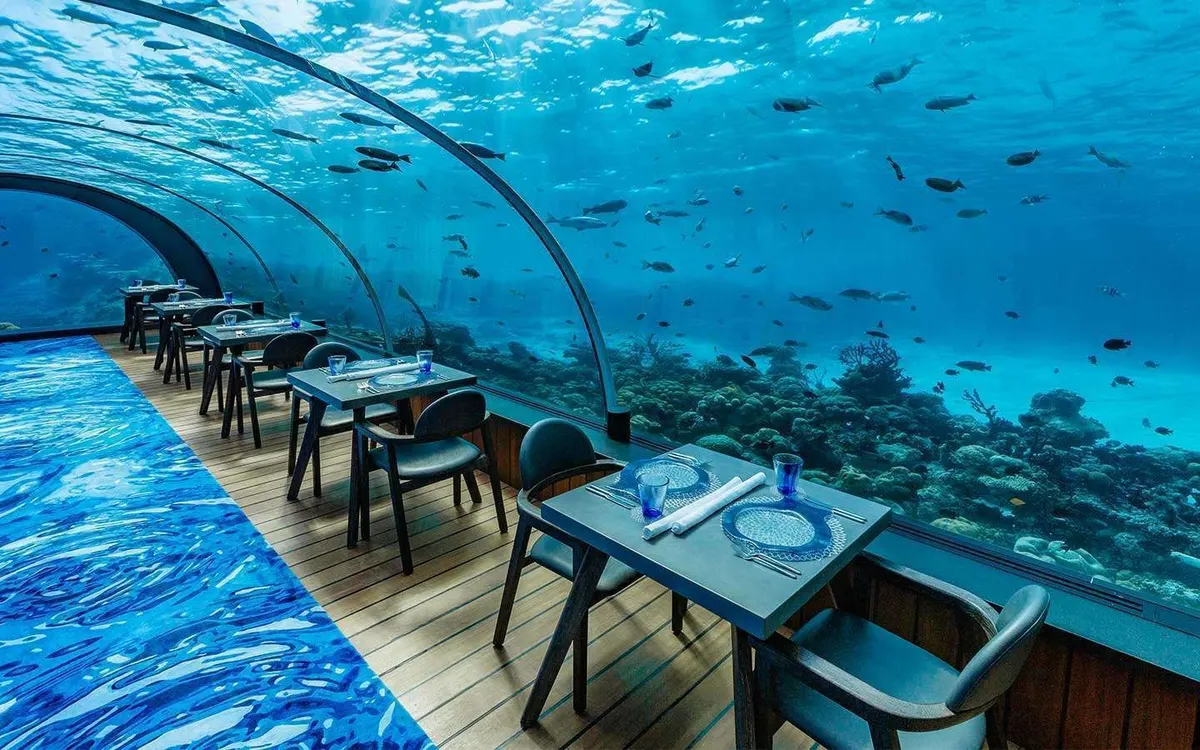 5.8 Undersea Restaurant, photograph 2, Hurawalhi Island Resort, Lhaviyani Atoll