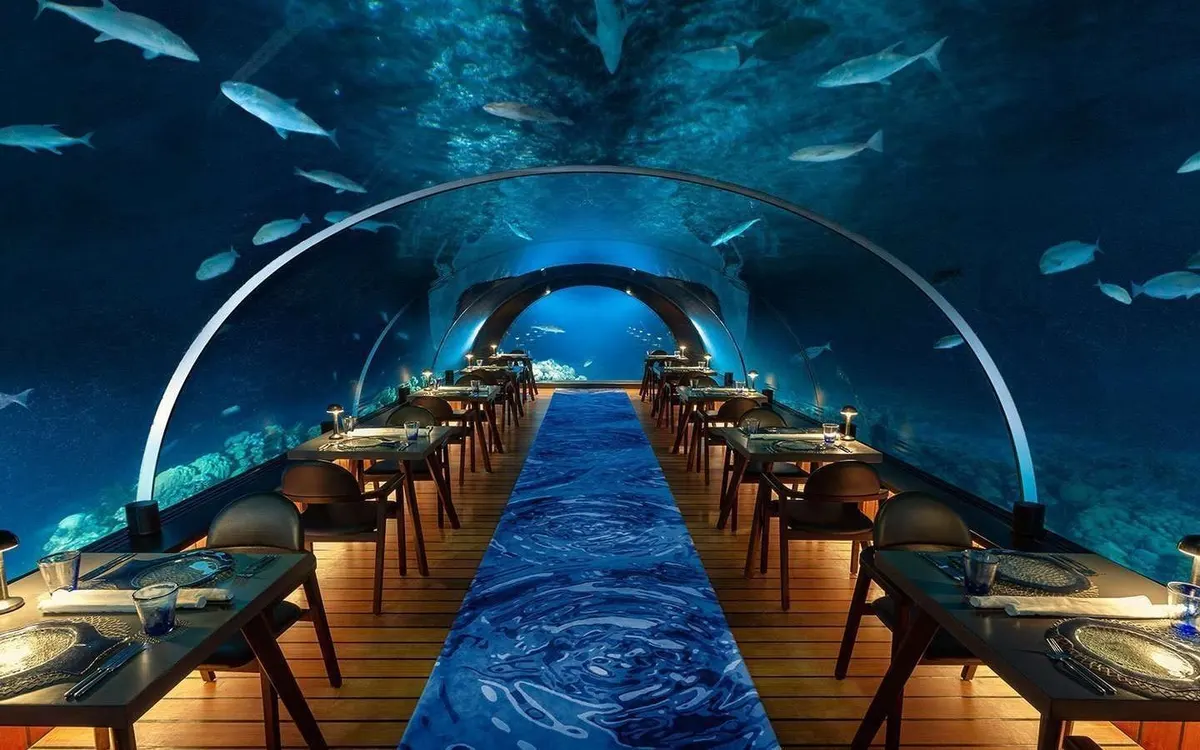 5.8 Undersea Restaurant, photograph 3, Hurawalhi Island Resort, Lhaviyani Atoll