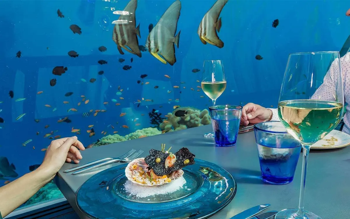 5.8 Undersea Restaurant, photograph 5, Hurawalhi Island Resort, Lhaviyani Atoll