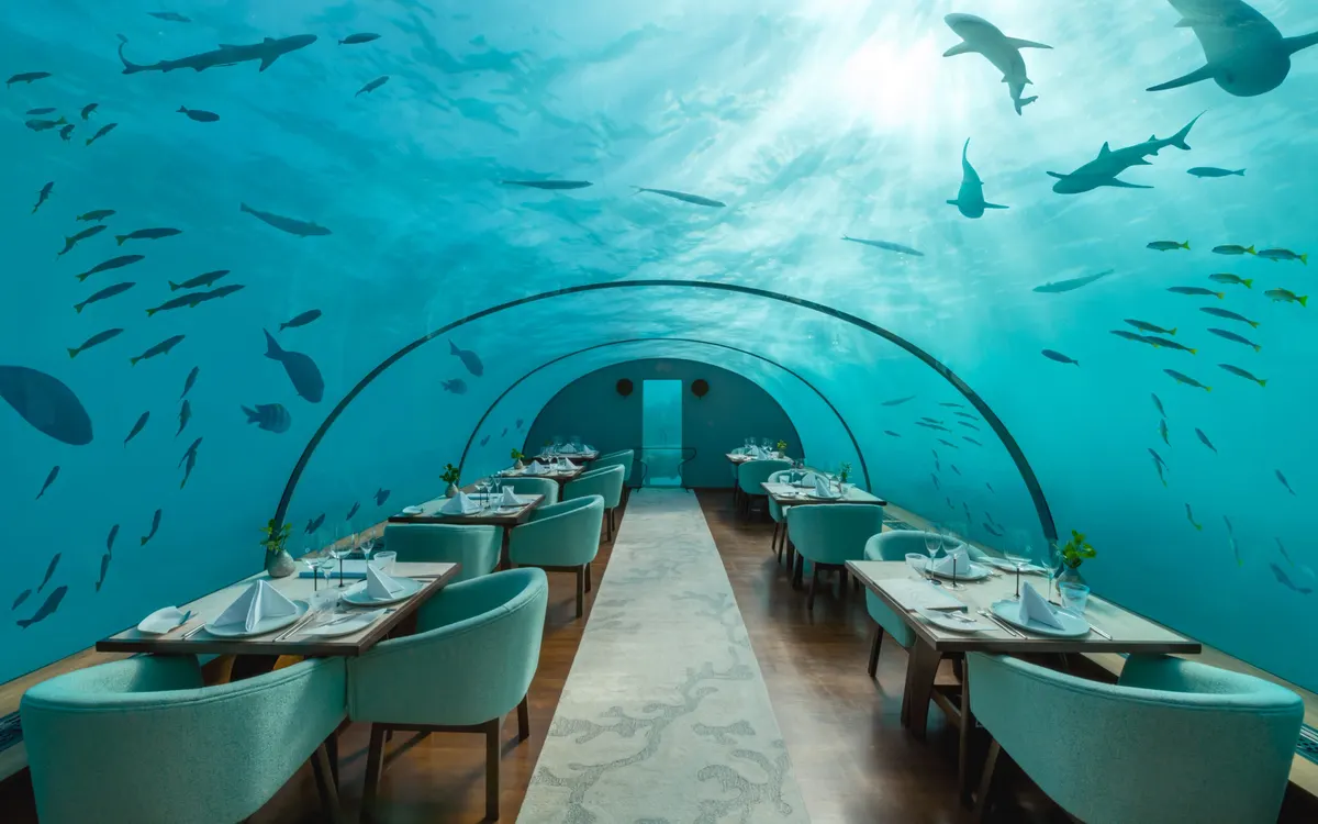 Ithaa Undersea Restaurant, photograph 1, Conrad Maldives Rangali Island, South Ari Atoll