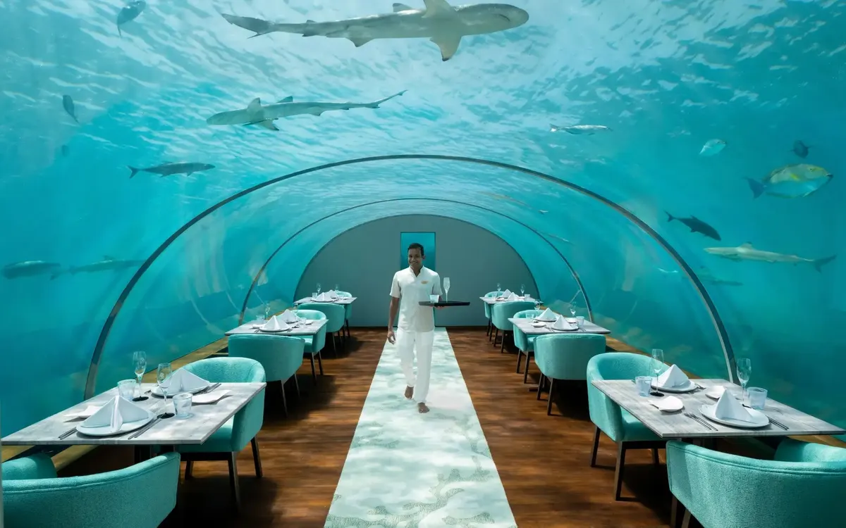 Ithaa Undersea Restaurant, photograph 2, Conrad Maldives Rangali Island, South Ari Atoll