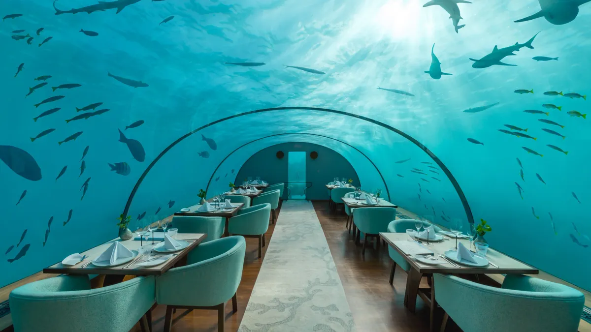 Reef sharks swimming over the acrylic tunnel of Ithaa Undersea Restaurant at Conrad Maldives Rangali Island