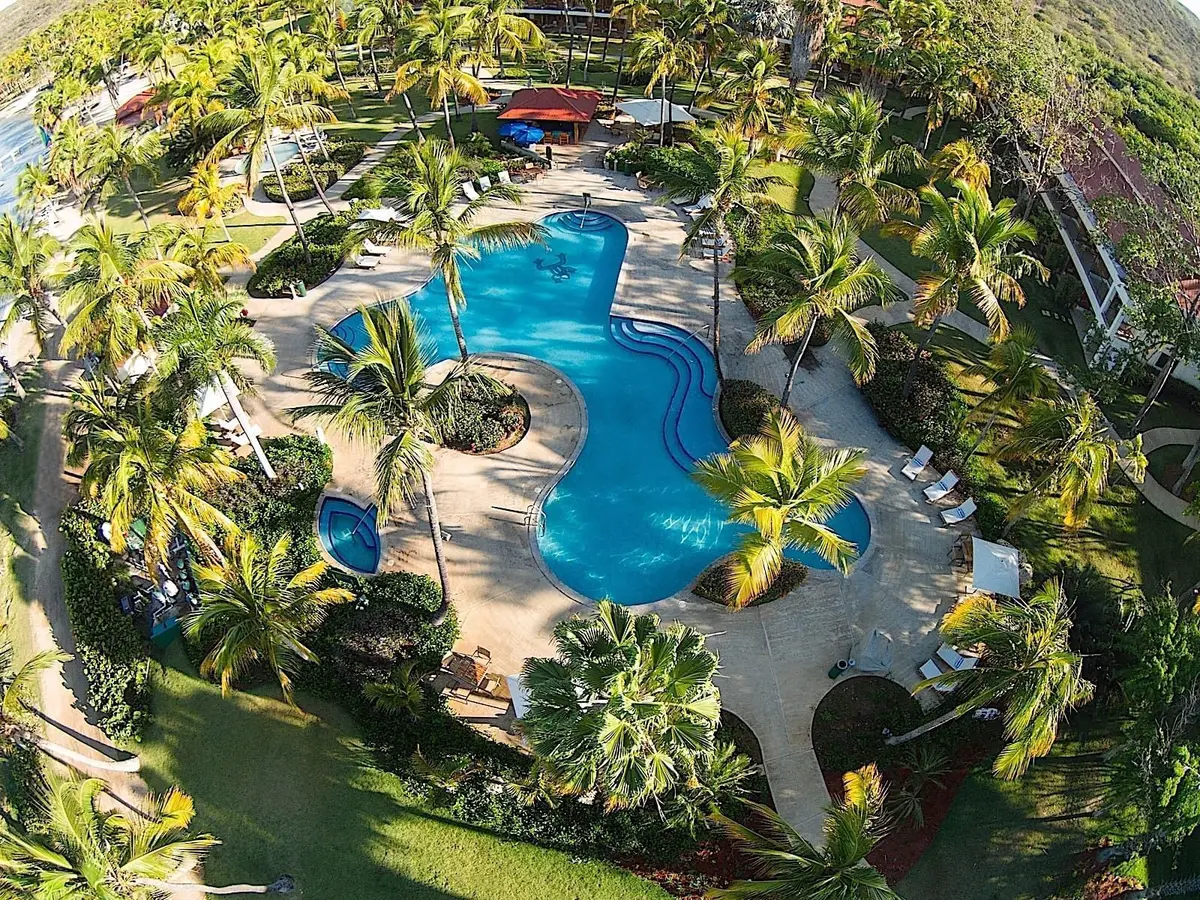 Curved swimming pools surrounded by palms and loungers seen from above
