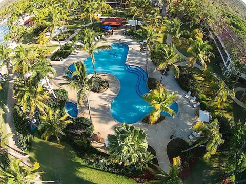 Curved swimming pools surrounded by palms and loungers seen from above