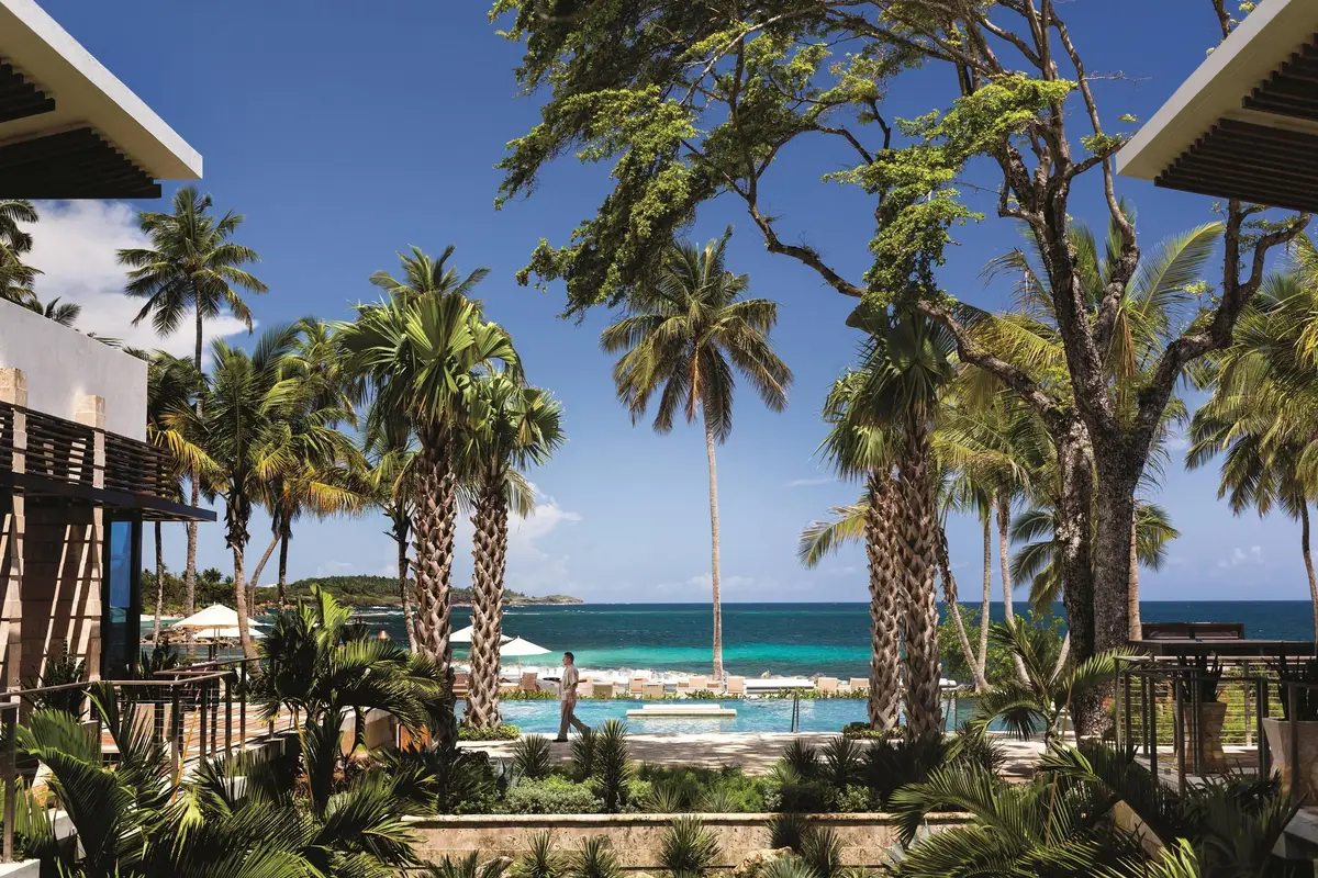 Tall royal palms above the pool terrace and the sea at Dorado Beach