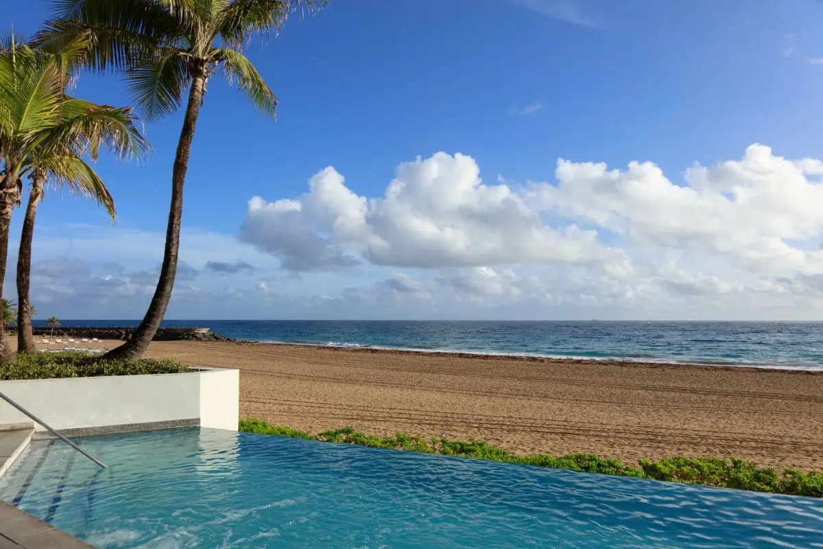 Infinity pool edge set against palms and the beach beyond