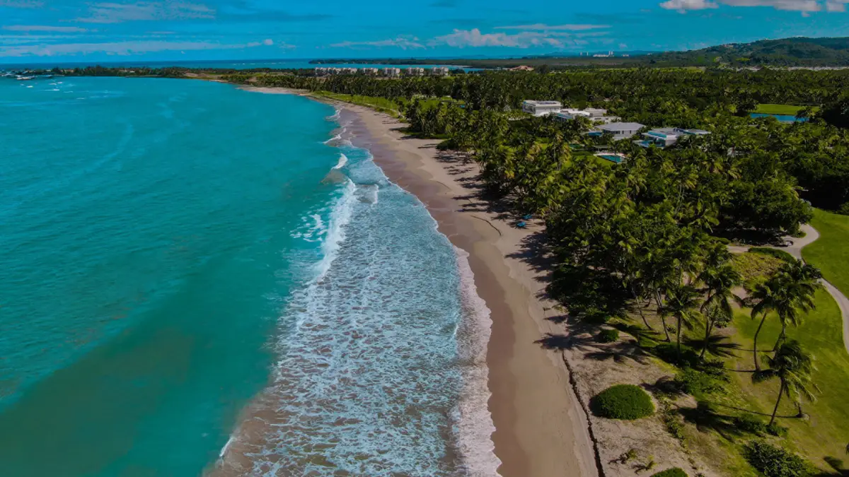 Long curve of sand and breaking surf seen from the air along the Bahia Beach shoreline