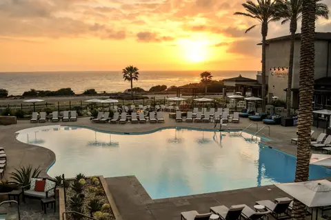 A curved pool and rows of loungers at sunset with palms and the ocean behind