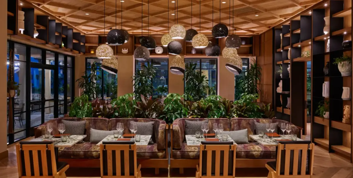 A dining room with rattan pendants, planted banquettes and timber chairs