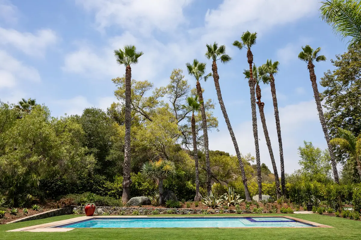 A rectangular pool set in a lawn with tall palms and eucalyptus behind