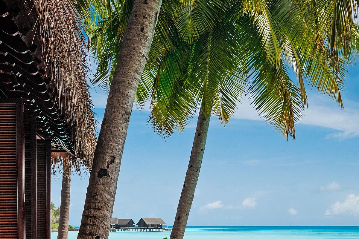 One&Only Reethi Rah, North Malé Atoll, Maldives: restaurant, bar and dining terrace, photographed for Luxury Hotel Compare