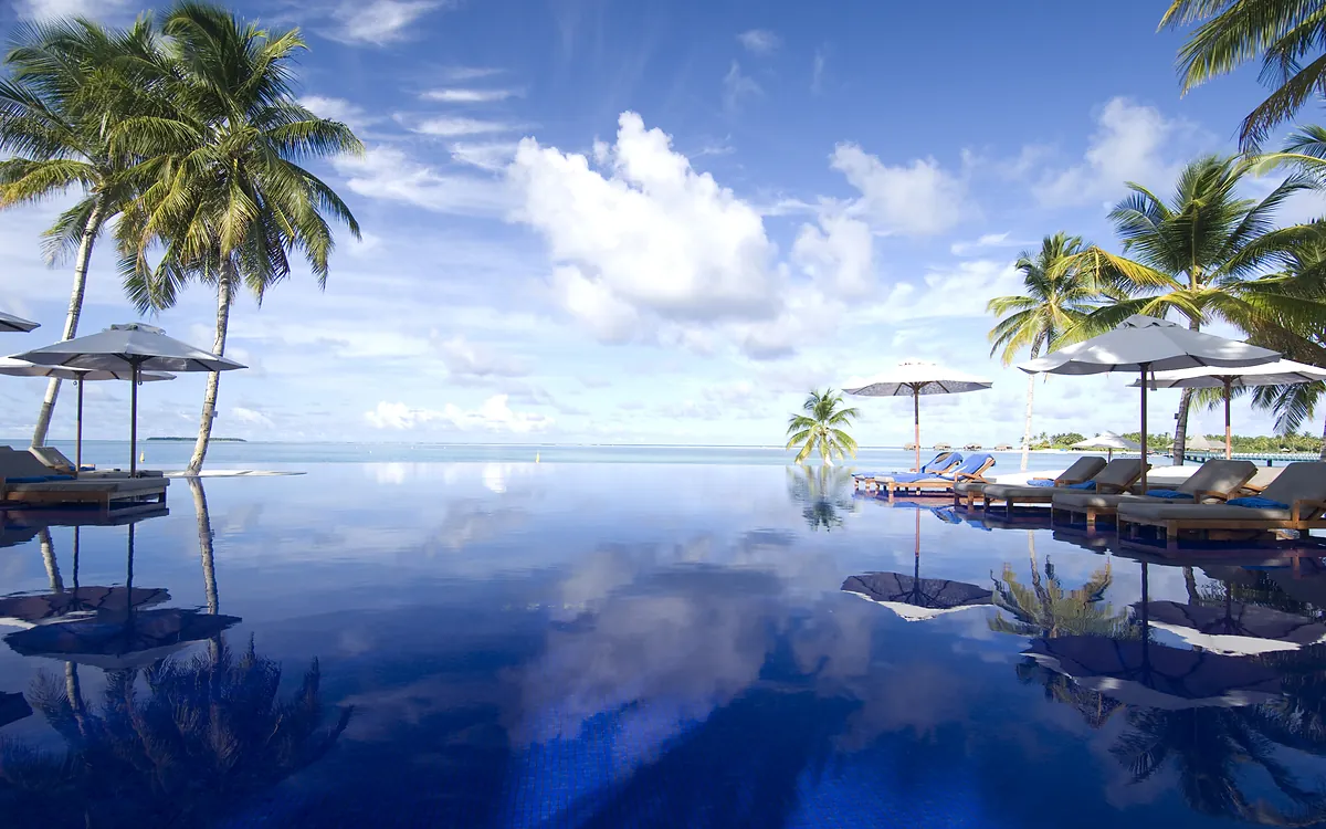 Infinity pool framed by palms at Conrad Maldives Rangali Island