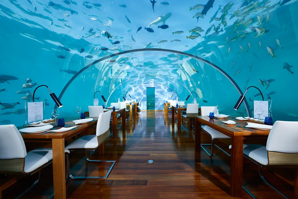 Ithaa undersea restaurant at Conrad Maldives Rangali Island, photograph by Justin Nicholas