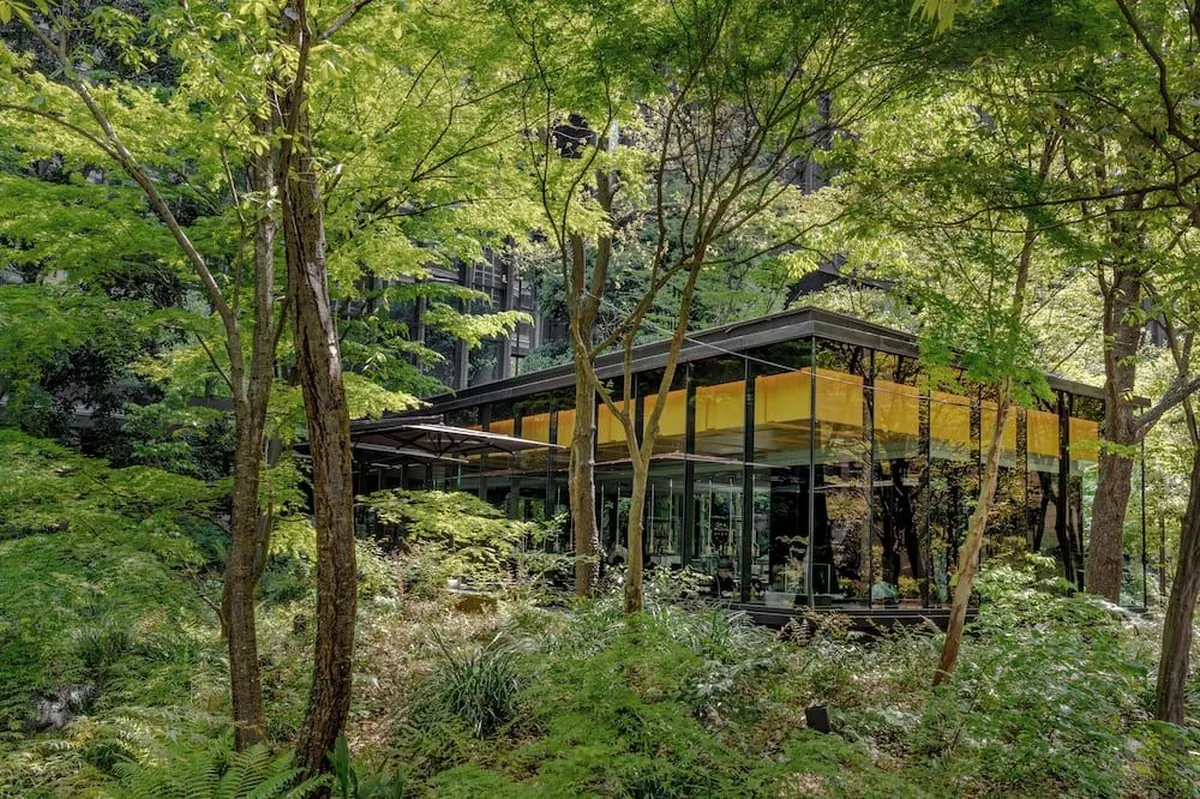 Aman Tokyo Review: Is the Otemachi Tower Icon Still Worth It in 2026?, The Café by Aman pavilion in the trees of Otemachi Forest