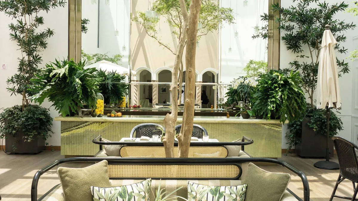 Terrace breakfast at Casa Polanco with jacaranda trees over Parque Lincoln