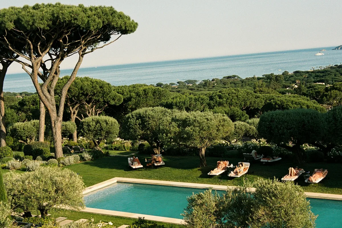 Terrace pool and hectares of parasol pine gardens